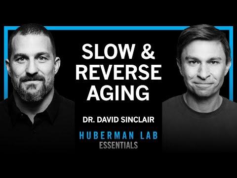 Il Genetista di Harvard Svela i Metodi Basati sulla Scienza per Rallentare e Invertire l'Invecchiamento